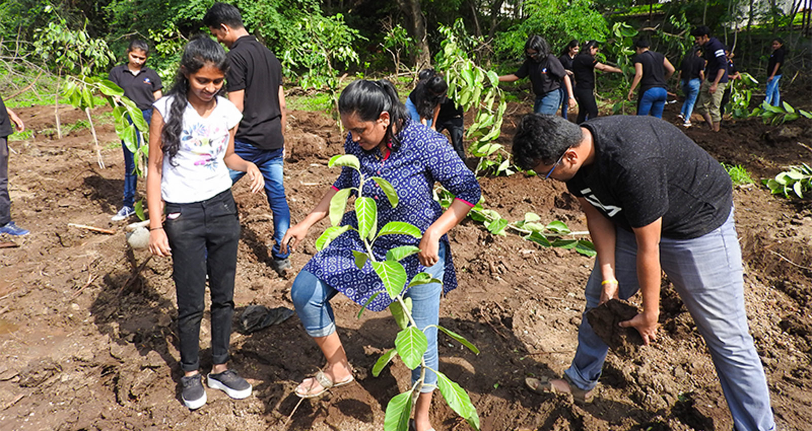 The Environment – Acts of Conservation Tree Plantation -July 2019